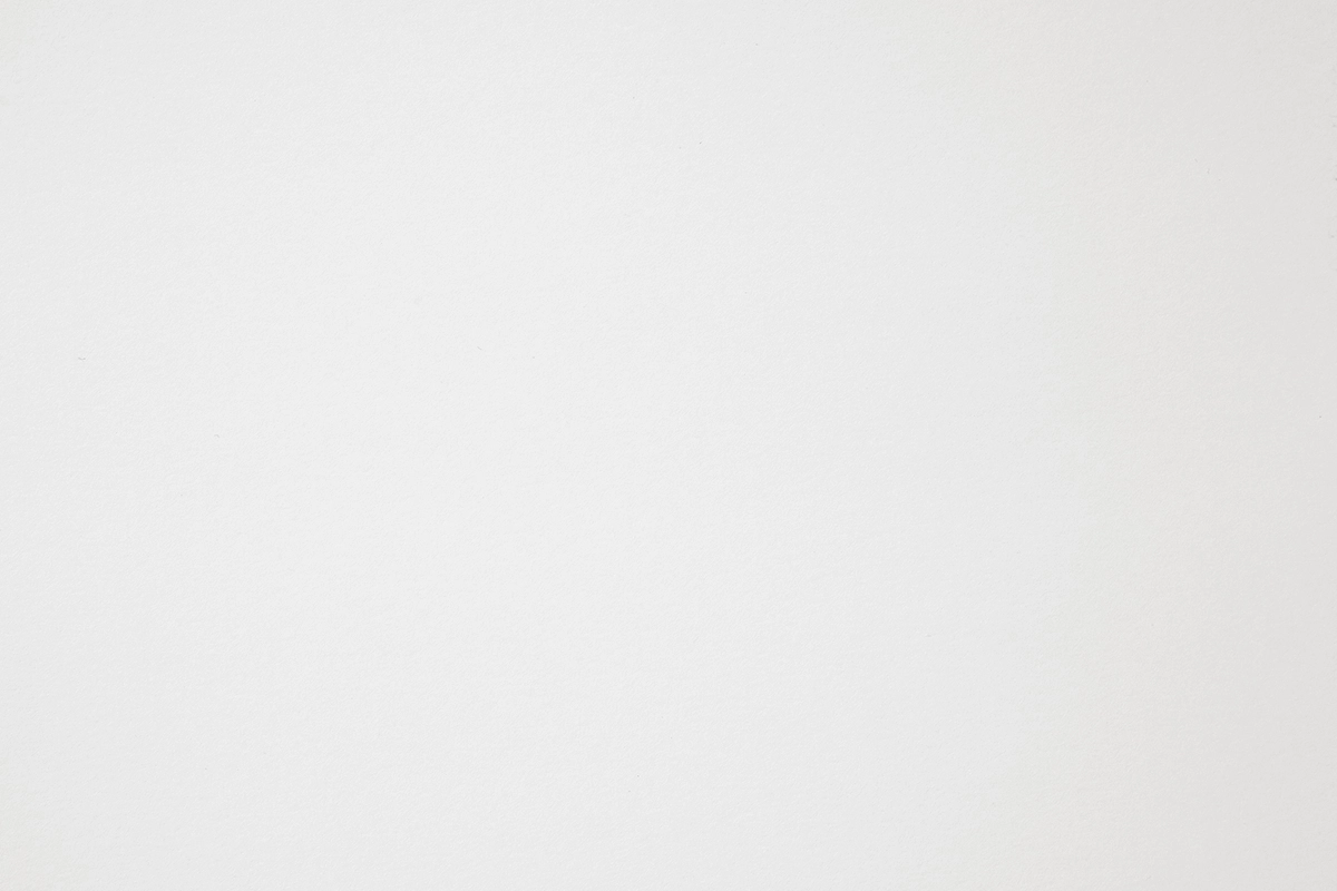 Nettuno Bianco Artico