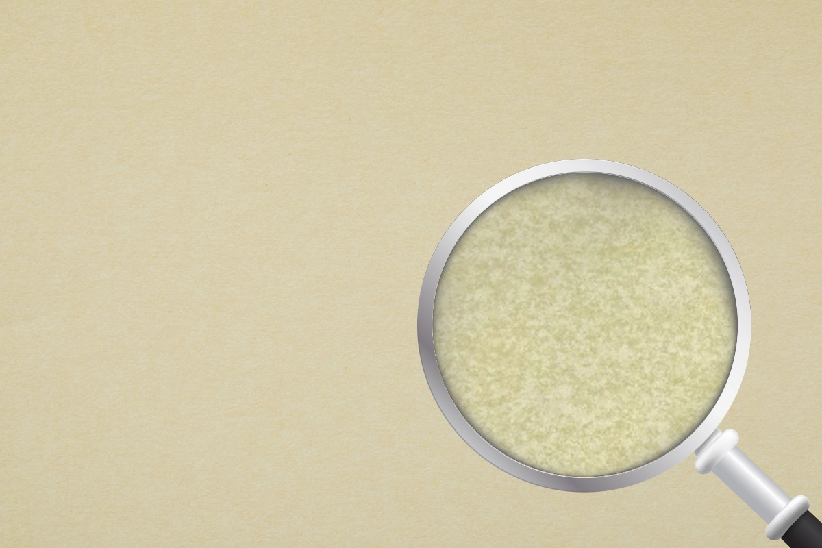 Pergamenata NaturaleZoom