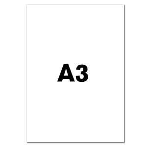 297x420 mm (A3)